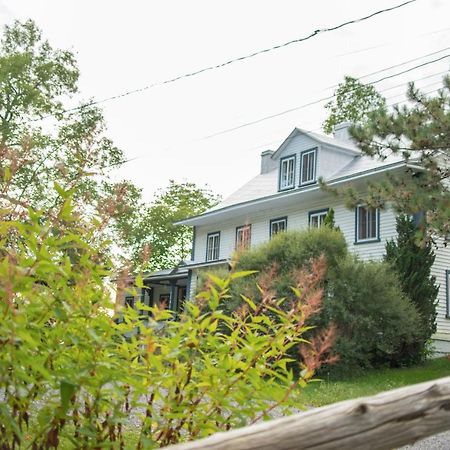Отель Le Triangle De L'Ile Saint-Laurent-de-l'ile d'Orleans Экстерьер фото